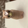 Henry_choco