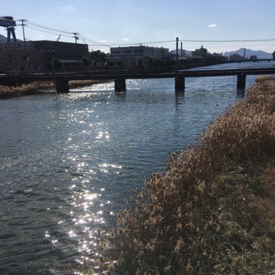 梶ドラン