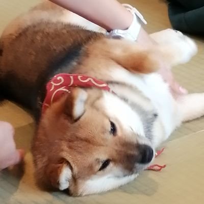 むろす