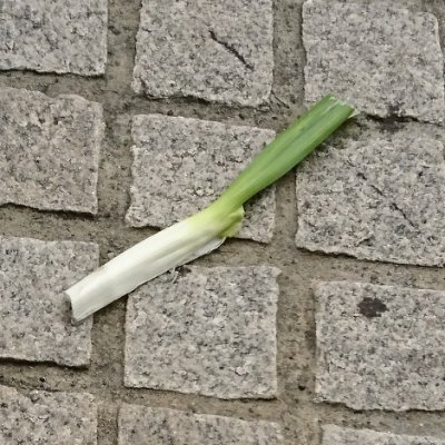 ねぎ