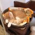 なつこ