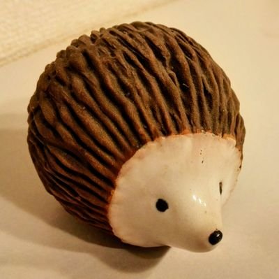 らちこ