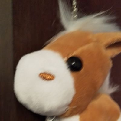 カンプー