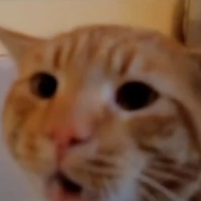 らう↗