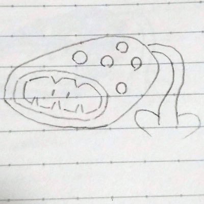 のぶ