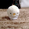 はっしー