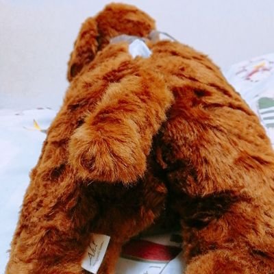 あしだ