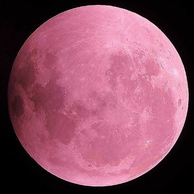 かめやま たくみ