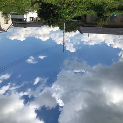 蕈（きのこ）