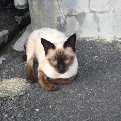 べち