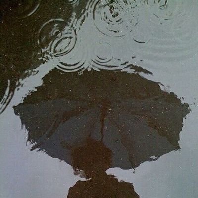 赤エビ