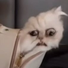 ！