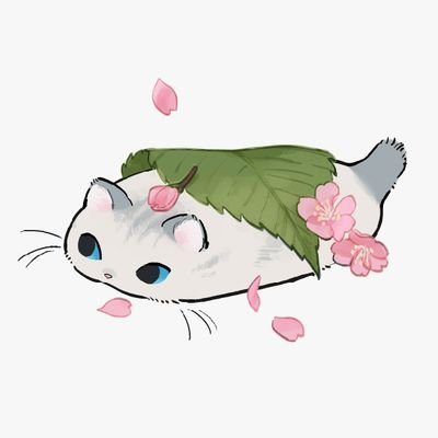 半壊中ラプこ