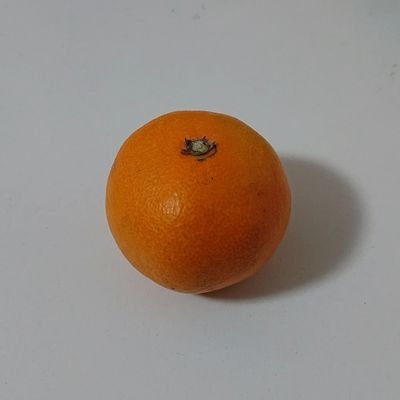 赤凧