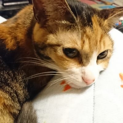 田中