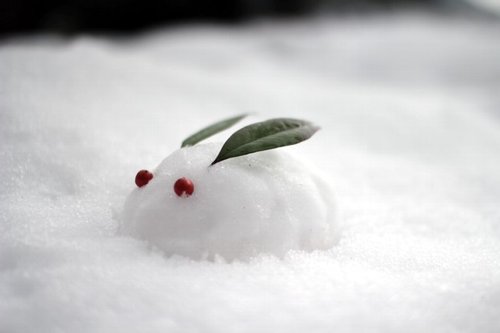 月雪うさぎ