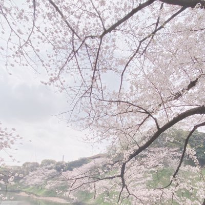 ひろろん