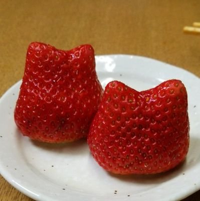 腹巻ビーム