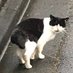 段ぼーる