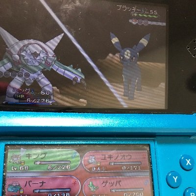 くるっぽー