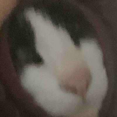 よかったね