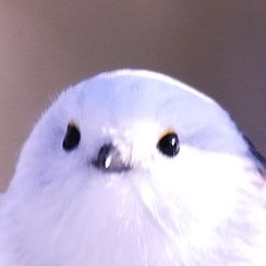そらきち