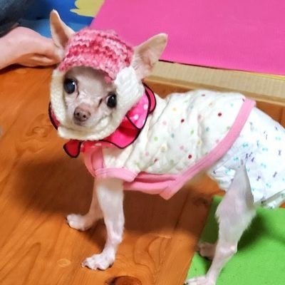 こはる