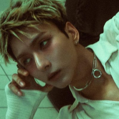 サメ (상태: 저급함)