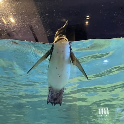 たこ/かわのはしの完全趣味用