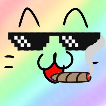 夜又猫飯