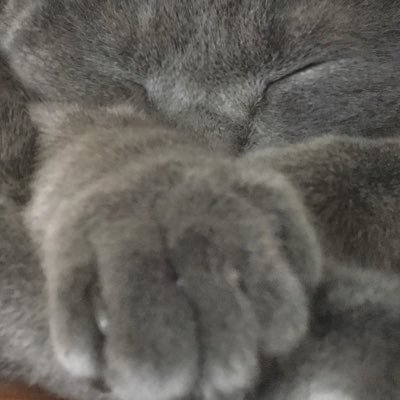 yuki mouri（ゲーム大好き）