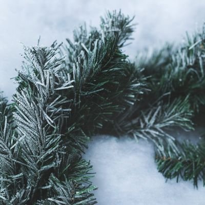 井ノ上みーちゃん