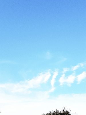 おもち