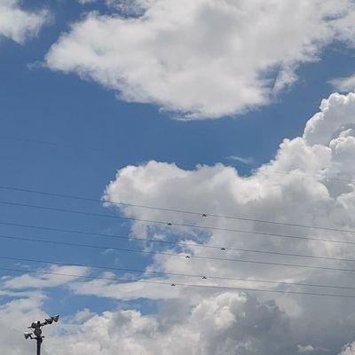 あん