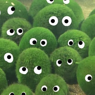緑の色えんぴつ