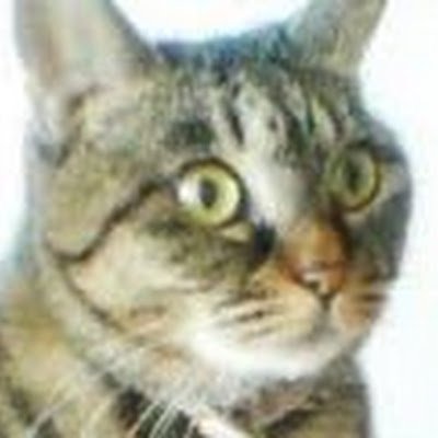 ひとくいようかん