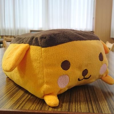 パラワンLEガメ