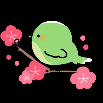 クルクマ