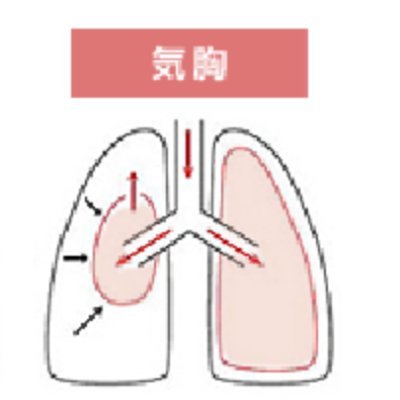 kikyou