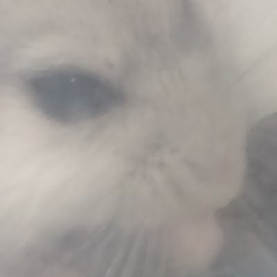 四ノ宮真輝