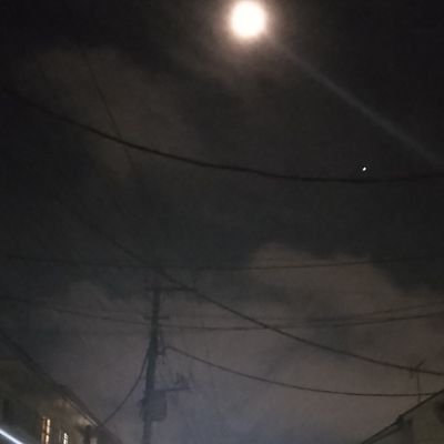 せつ