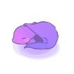 くどあ