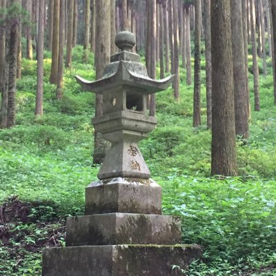 ころころ