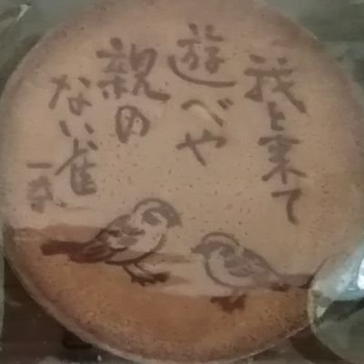 石河豚木