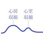 積読プロ
