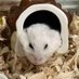 こんじろう