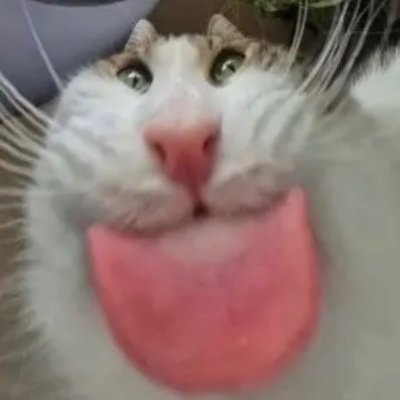 月見草