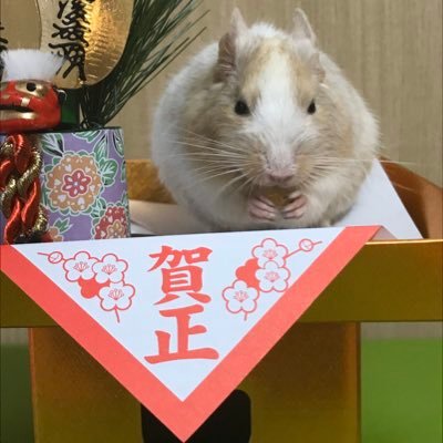 ケルト