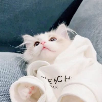 ありんこ