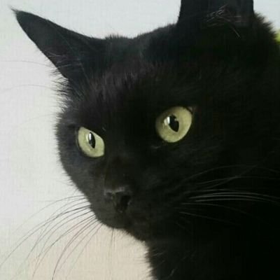 ゆば